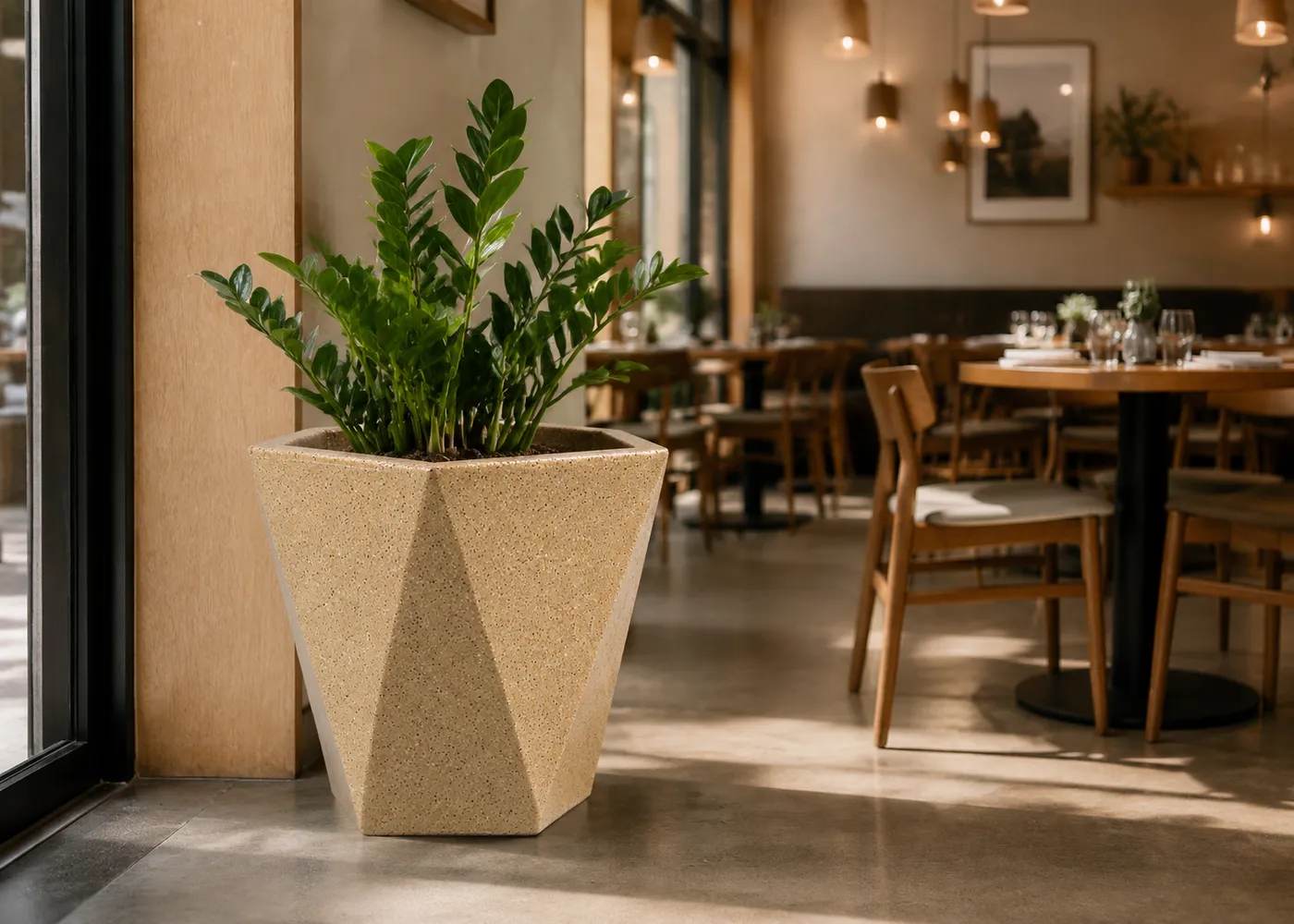A sandstone Fahari Hexagon planter holding a ZZ plant by the window of a restaurant, with laid tables beyond